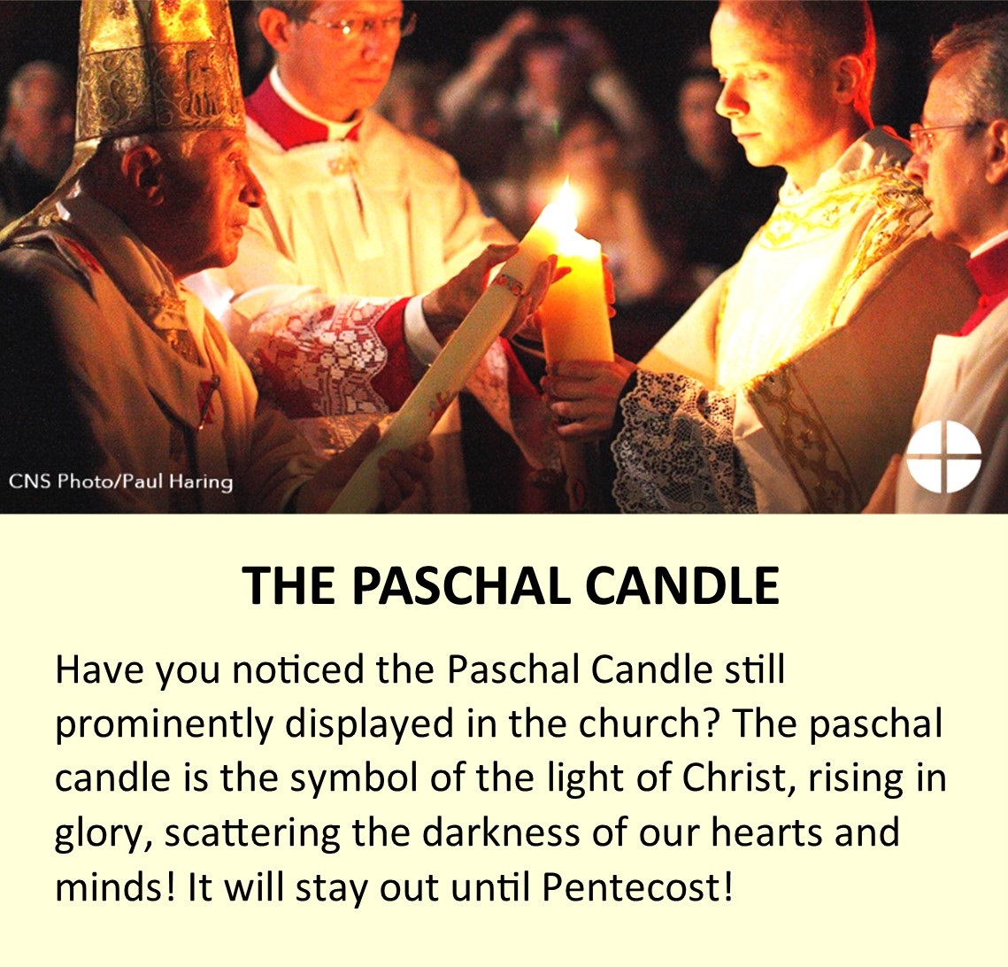 #easter2026 #paschalcandle #stmaryswinma