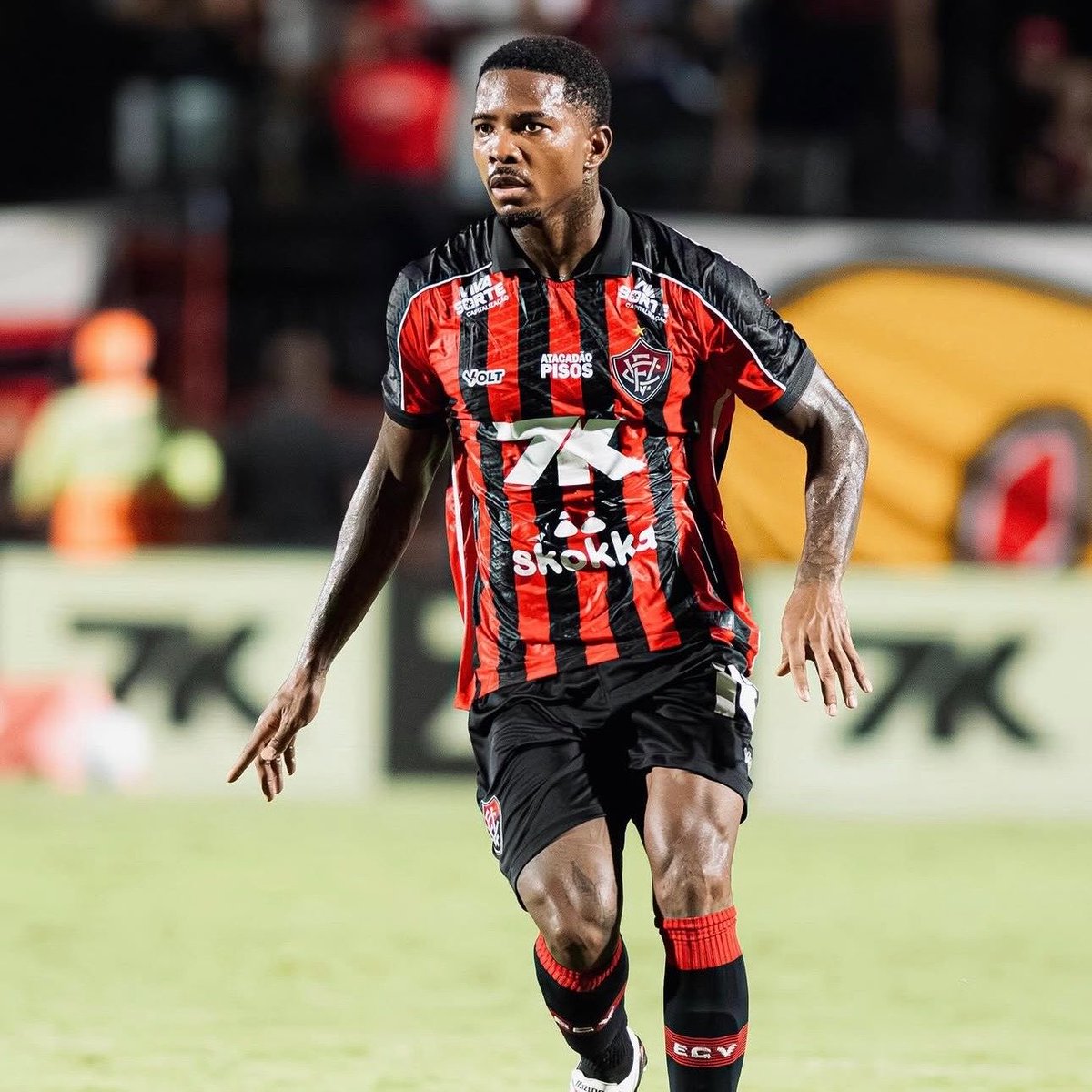 SCCP News tweet media