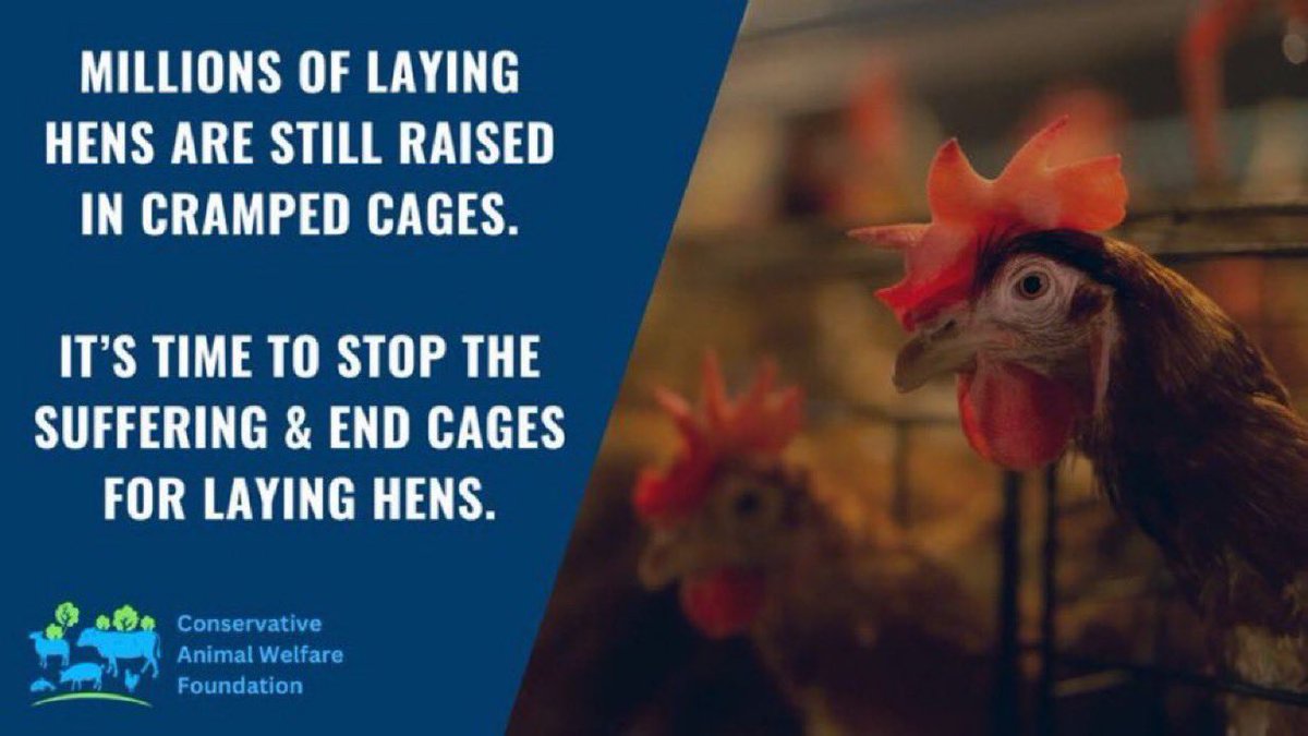Conservative Animal Welfare Foundation tweet media