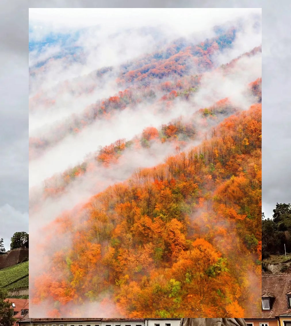 Dustin Gonzalez tweet media