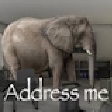 sanni ⌖ tweet media