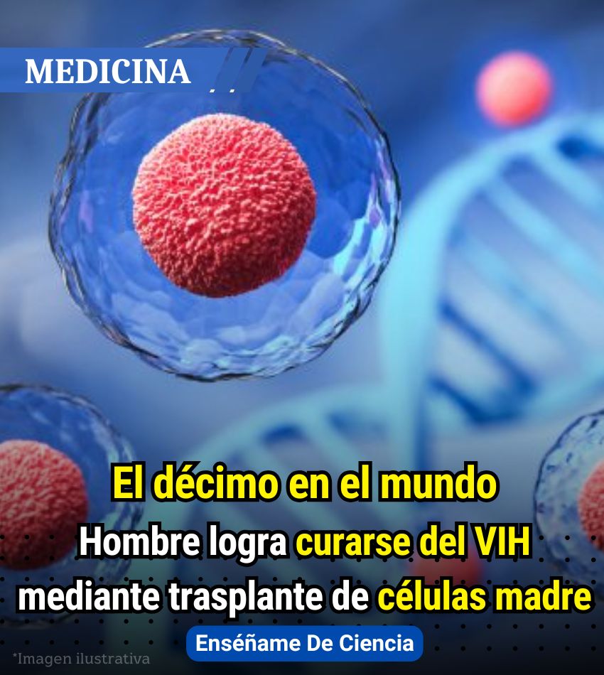 Enséñame de Ciencia tweet media