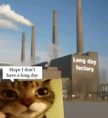 VARKA IS (basically) PERFECT tweet media