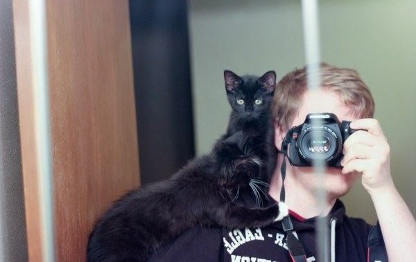 Tio Felino (Leo) tweet media