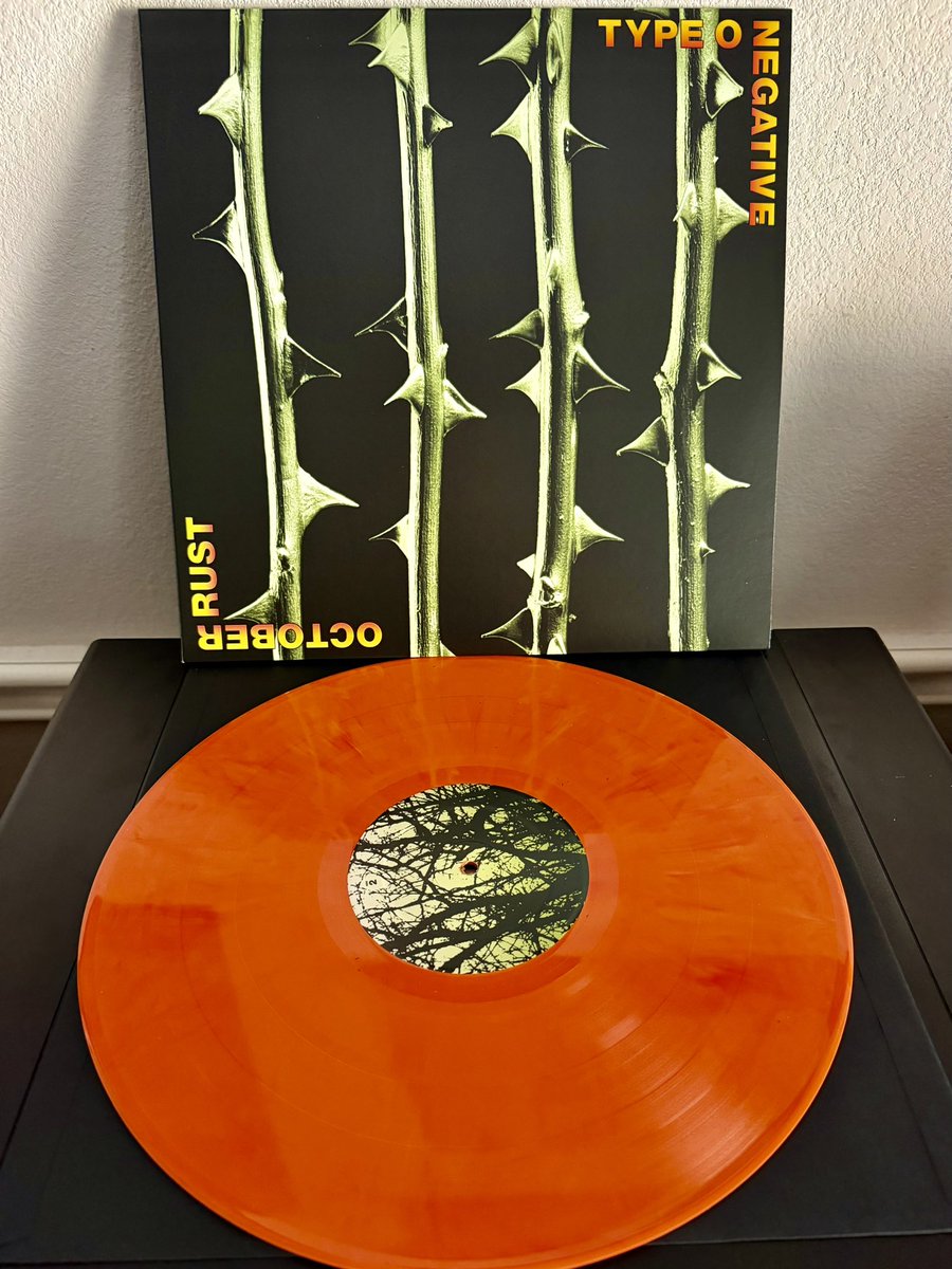 Mö Knows! tweet media