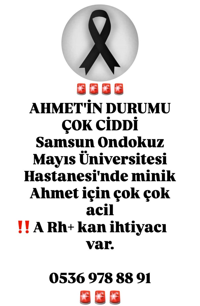 mini sea tweet media