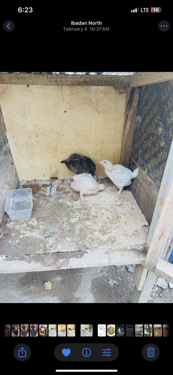 blessing tweet media