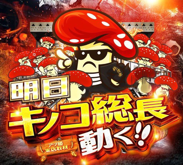 ☆キノコノコ様 12/1配達予定☆ 【公式通販】
