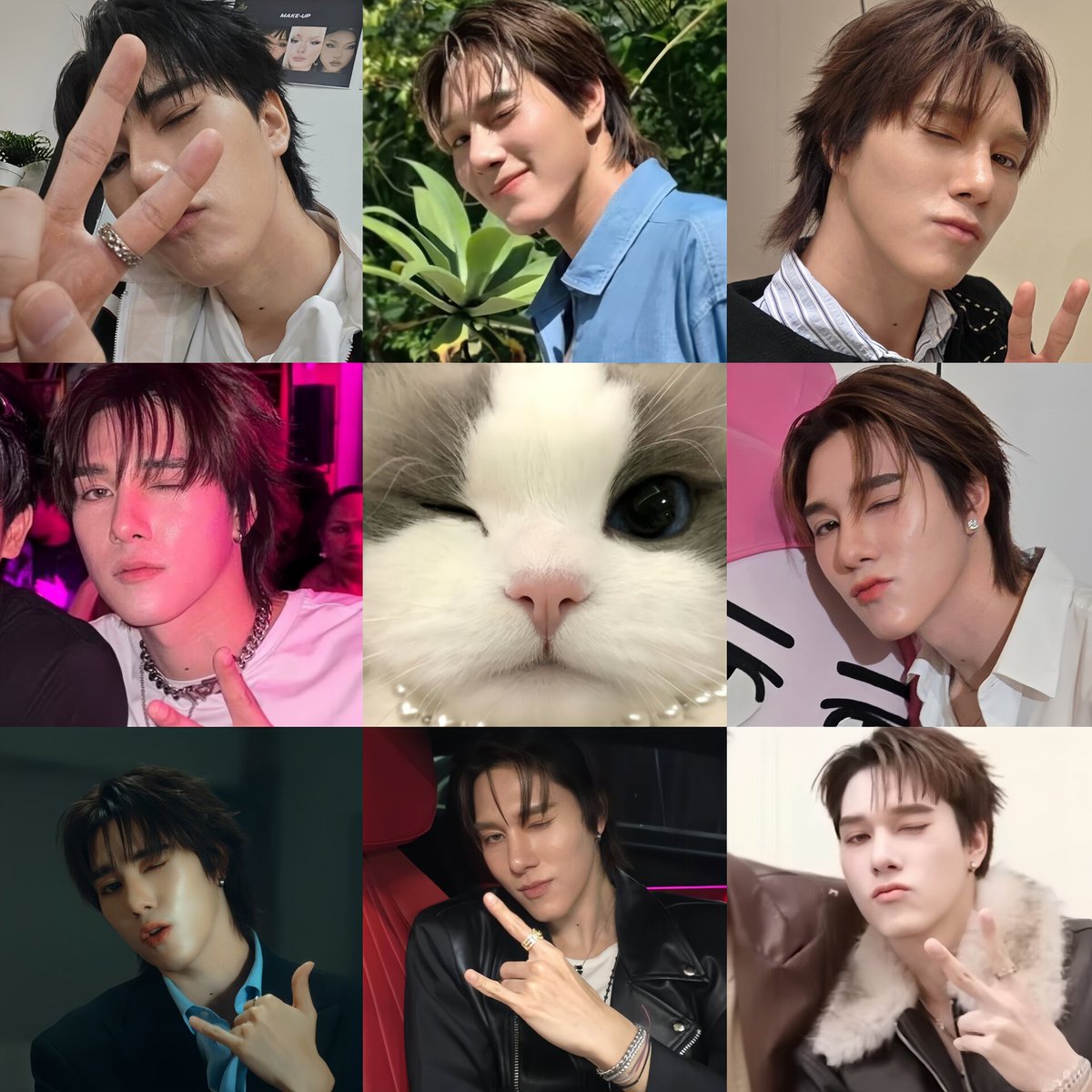 Winter Bear 🐻‍❄️🫧 tweet media