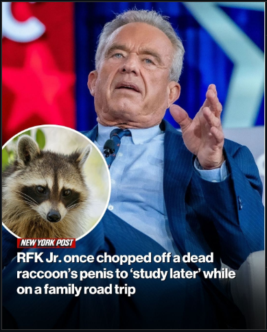 JoE Stuff tweet media