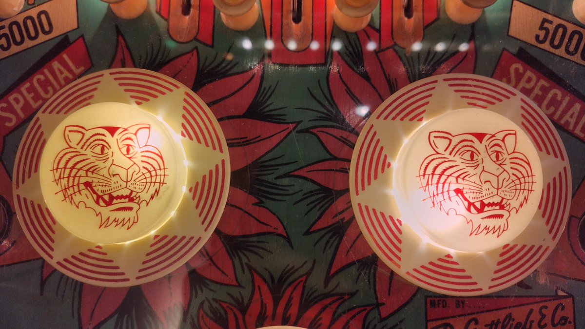 PINBALL IK(春夏秋はピンボーラー) tweet media