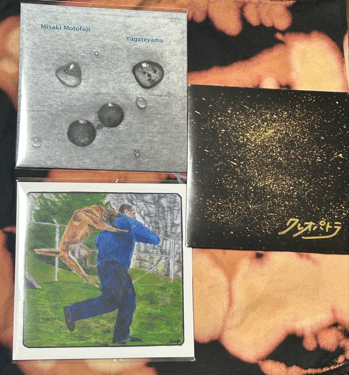 メイメイ🦑 tweet media