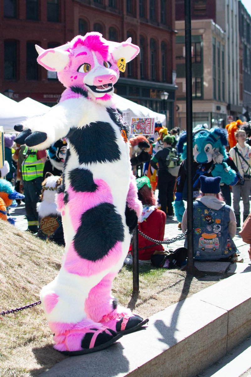 SpritzTheMoo tweet media