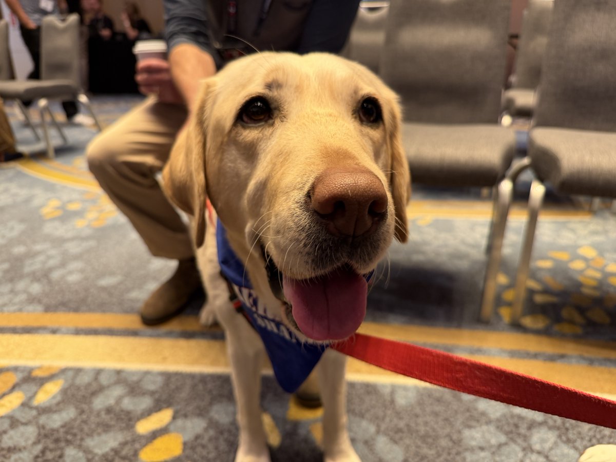 Cellebrite tweet media