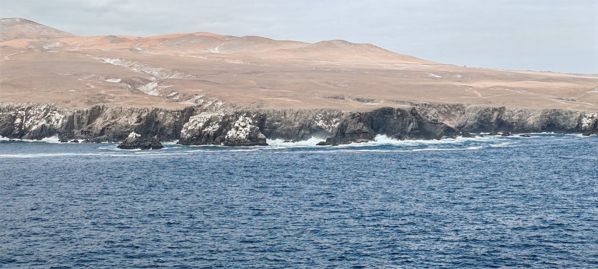 CAPT. PARA8OLIC TOBLERONE tweet media