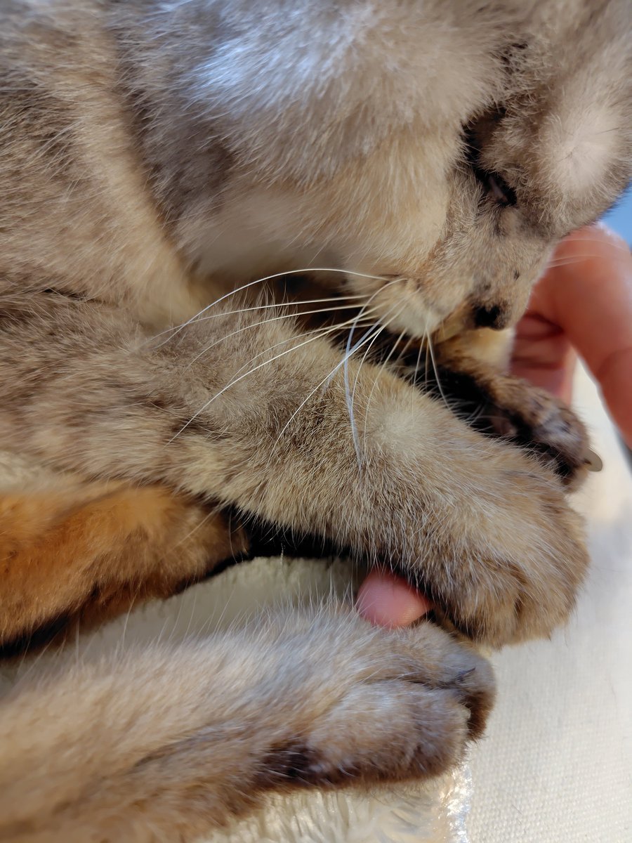 なこ tweet media
