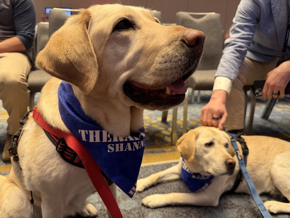 Cellebrite tweet media