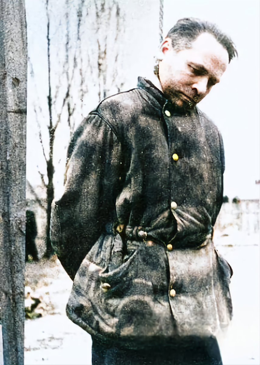 Daniel Mayakovski tweet media