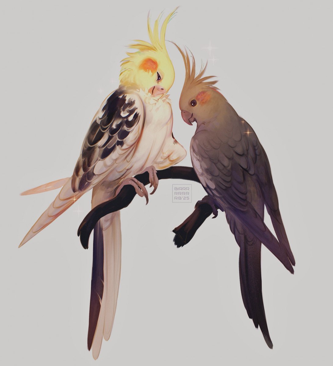 BIRRRRRRRRB tweet media