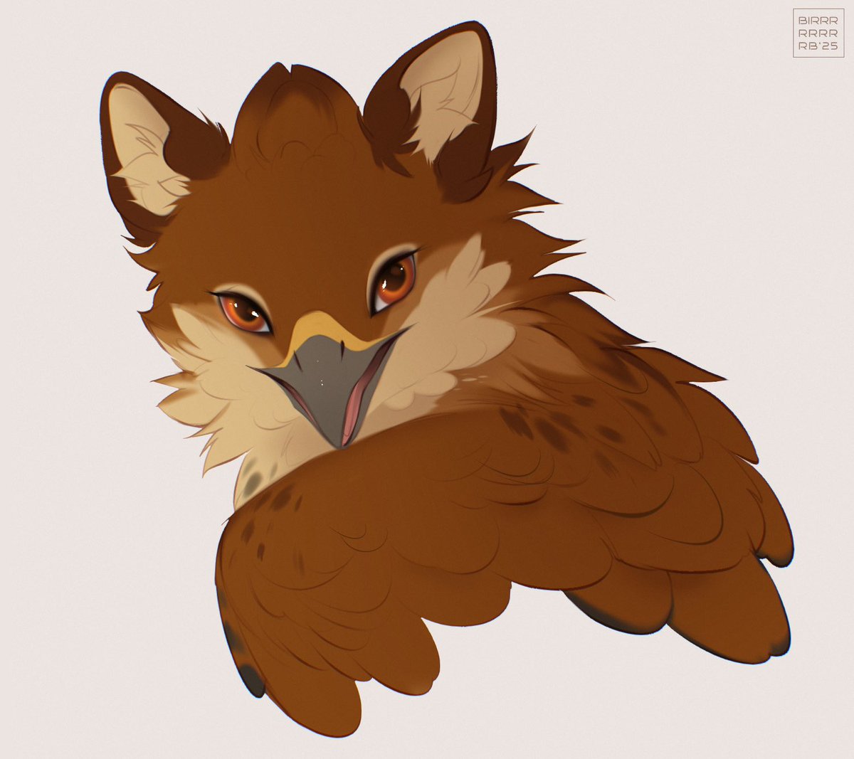 BIRRRRRRRRB tweet media