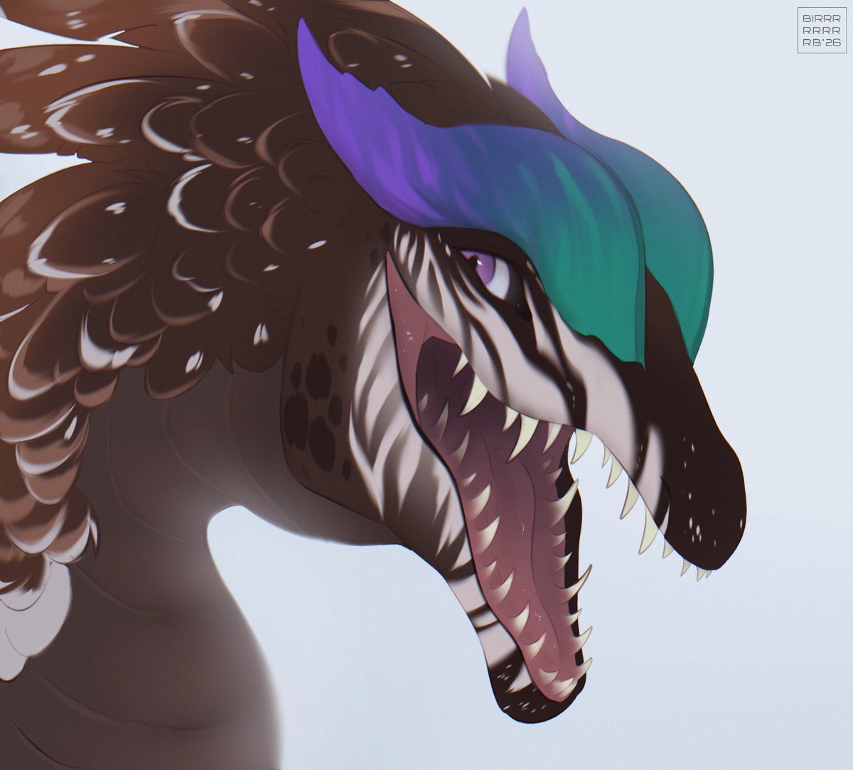 BIRRRRRRRRB tweet media