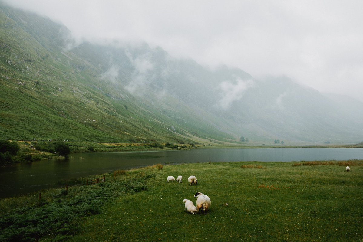 The Nature tweet media