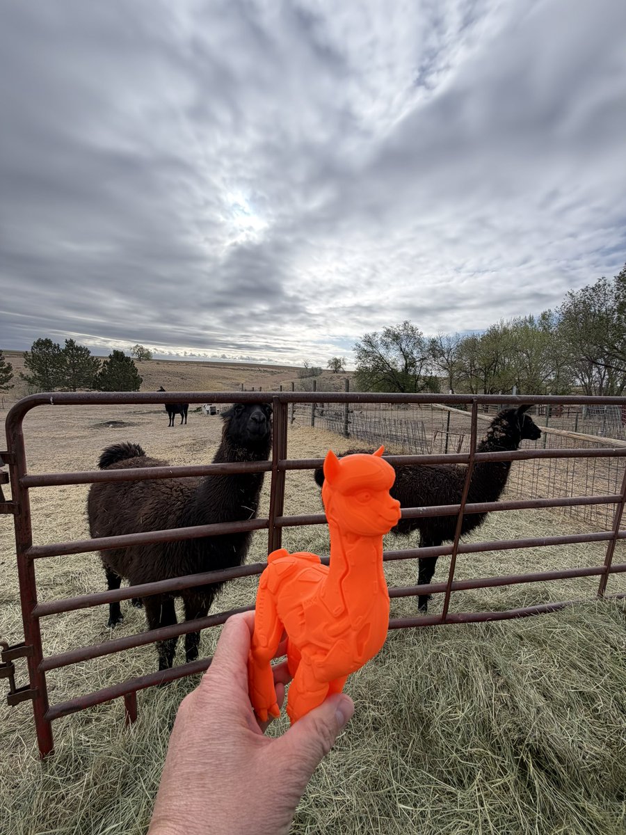 SamPrentice's tweet photo. I’m not really sure the difference between llamas and alpacas. But I can tell you this print was printed on the @PrusaPro3D #HT90 @Prusa3D @josefprusa #prusa https://t.co/UCc6CzYBQF