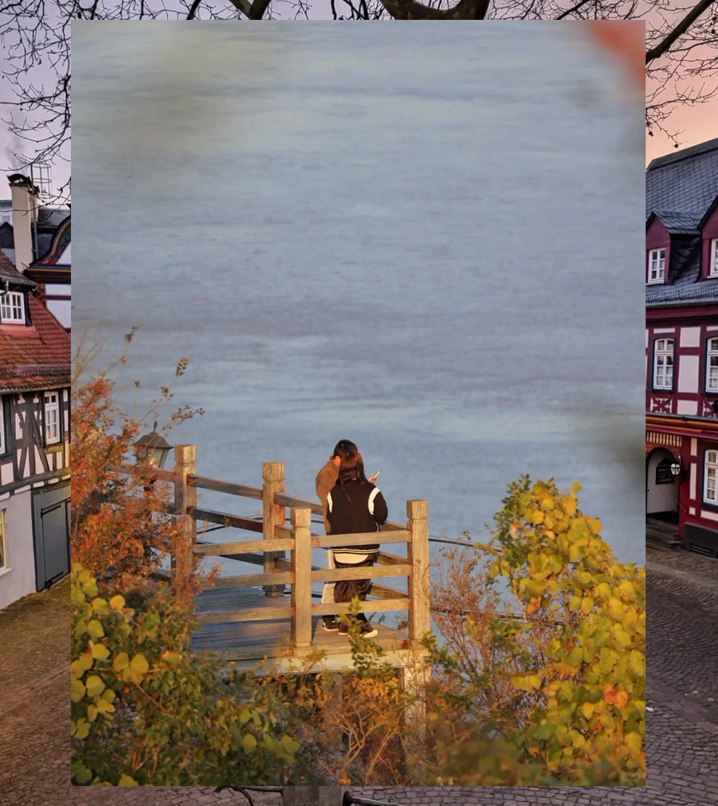 Bryan Castillo tweet media