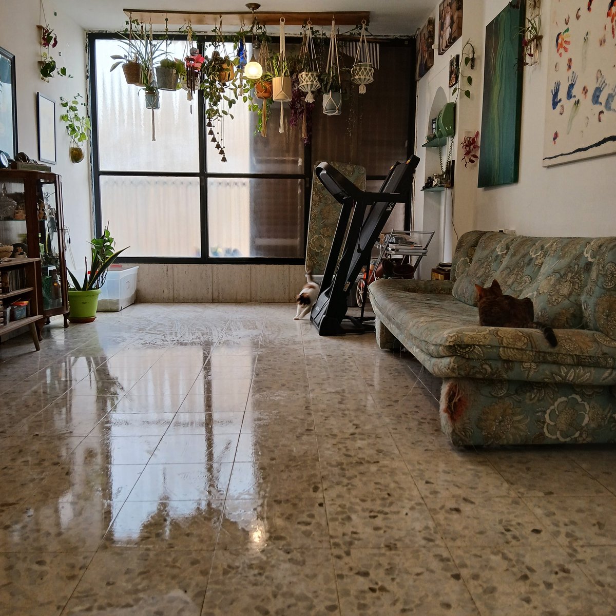 Eden 💙 +4 🐈 tweet media