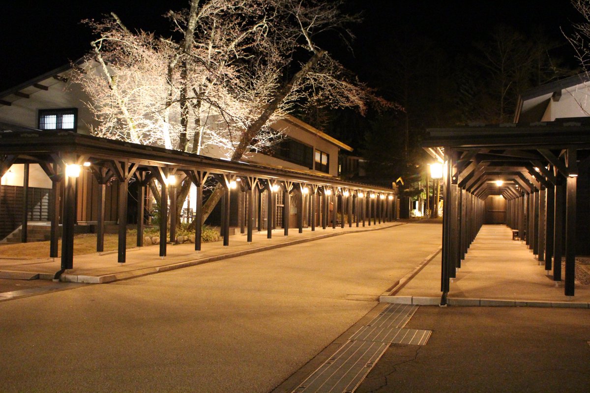 シャウラス tweet media