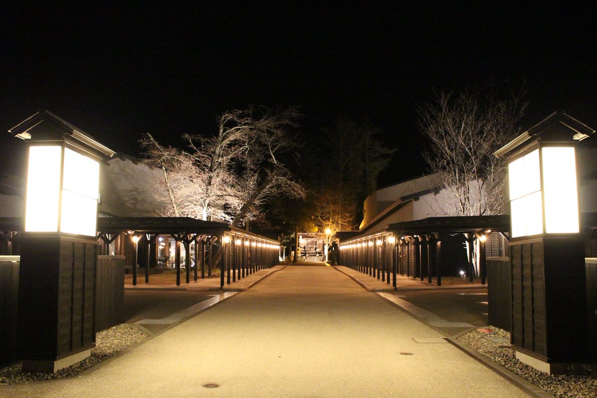 シャウラス tweet media