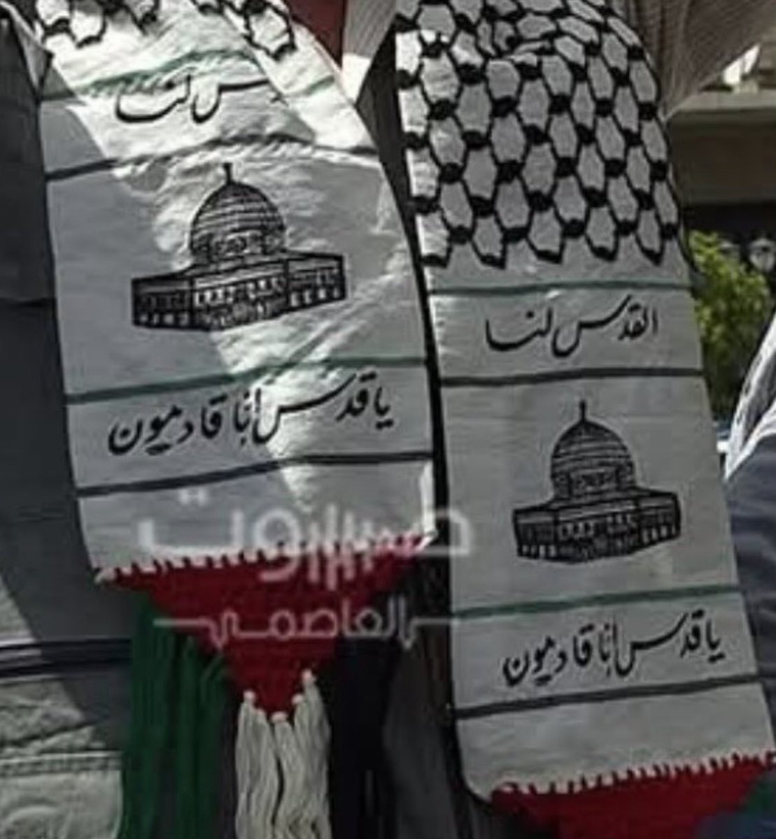 Yaman Abo Turki | يمان tweet media