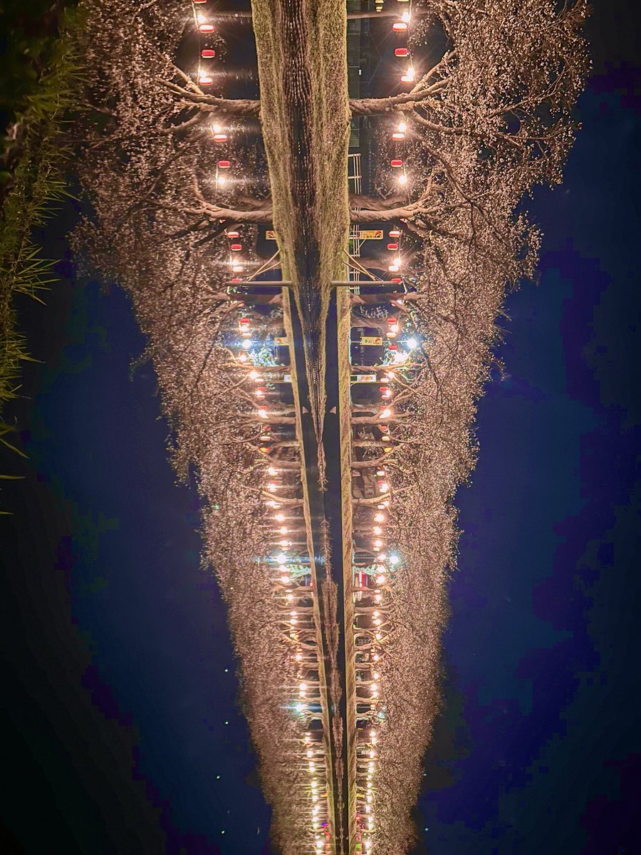 LowToshihi's tweet image. 鷹巣中央公園🌸

#北秋田市
#鷹巣中央公園
#iPhone14Pro