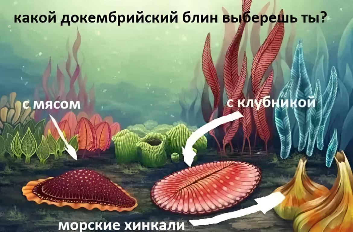 лейка | No AI Club главнокомандующий tweet media