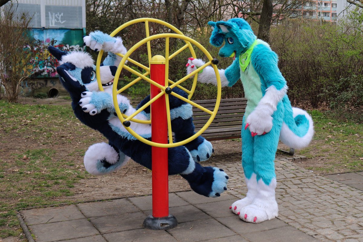 mato_husky tweet media