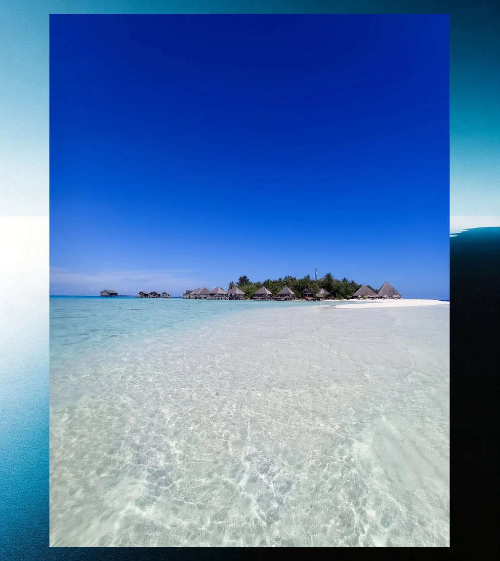 Terry Ruff tweet media