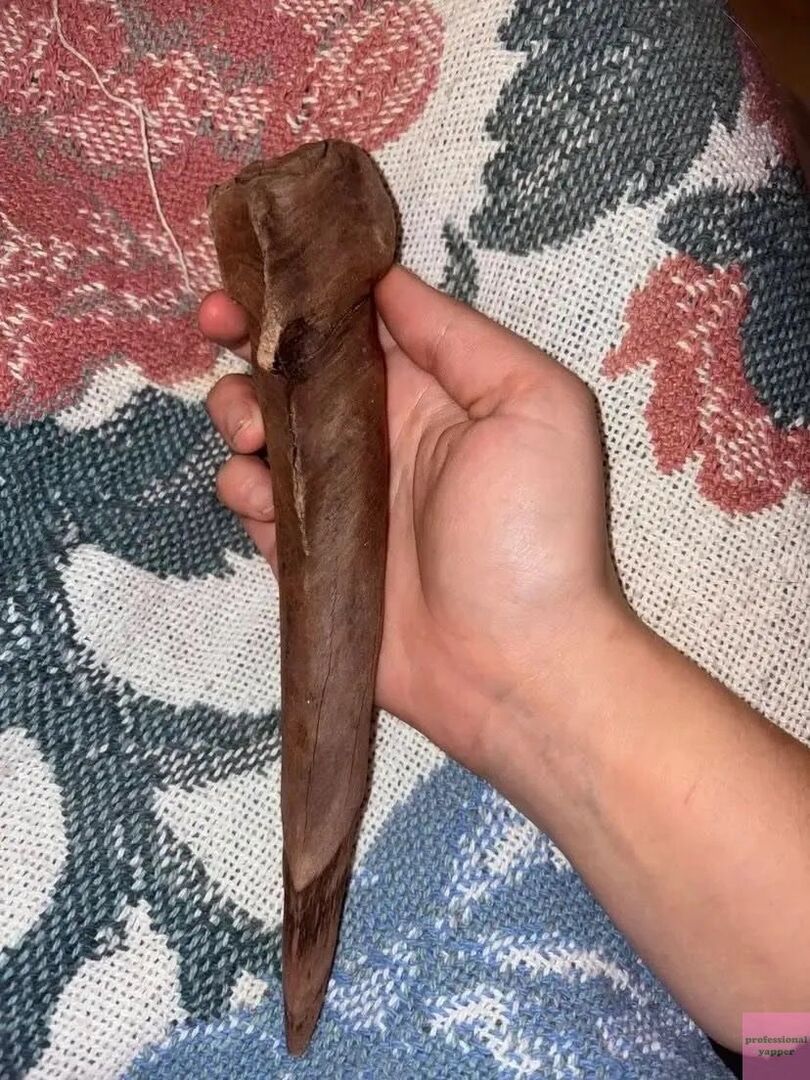 YAPPINGFESS tweet media