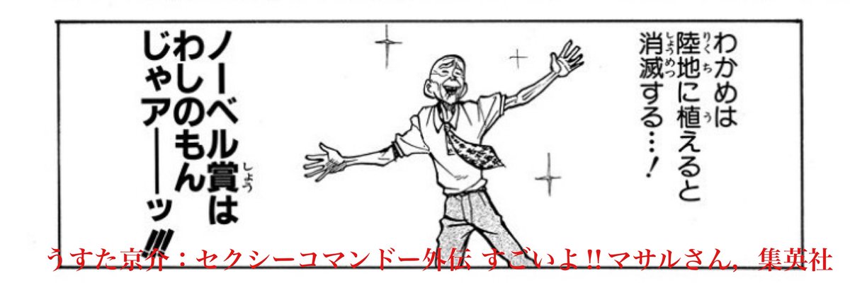 🌙Memento🌊 tweet media