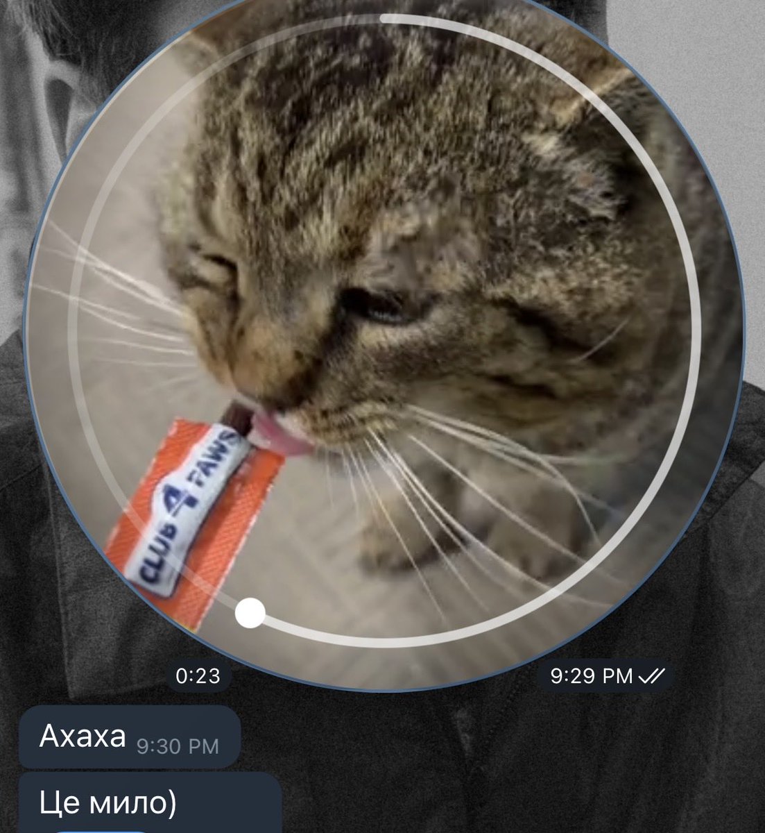 Ілля tweet media