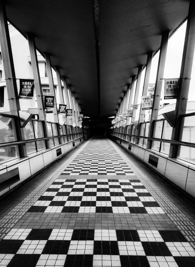 marysocontrary tweet media