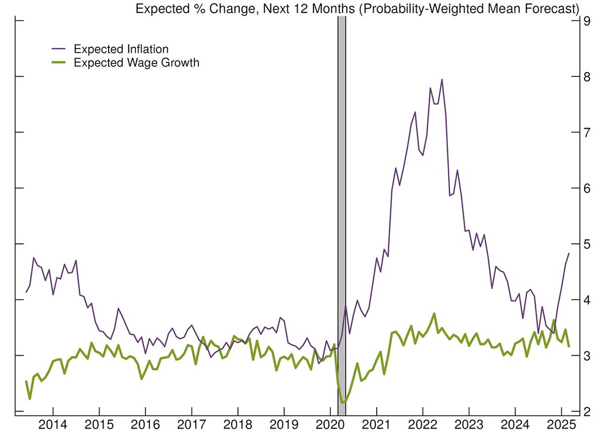 "Overall, these findings lead us to question the mechanism through which inflation expectations are translated into realized inflation via wage growth expectations."