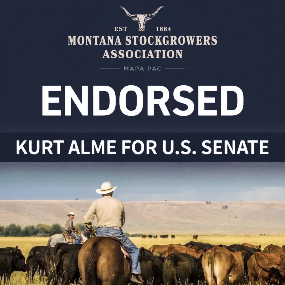 Kurt Alme tweet media