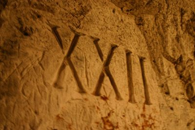 Master Notes ☿ tweet media