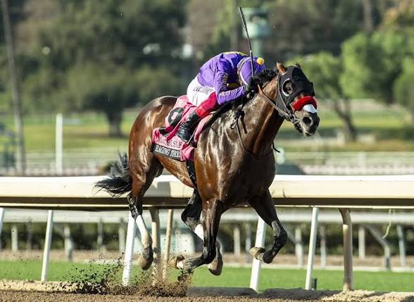 HORSERACING1002's tweet photo. SPRING AT LAST🇺🇸2003
(SILVER DEPUTY ▪︎ WINTER'S GONE BY DYNAFORMER)
#SpringAtLast
B/ Winstar Farm (Ky) May 4, 2003
O/ Reddam & Winstar
T/ Doug F. O'Neill
KEENOV $675,000
13-5-2-2---$1,139,150
Donn H G1, Godolphin Mile G1,
2nd Strub S G2, Malibu S G1,
Stood at Winstar Farm 🇺🇸, Saudi Arabia 🇸🇦 & Calumet Farm 🇺🇸Sired Alien Season, Badabing Badaboom, Bonita Springs, Change Of Seasons, Classic Covey, Cool Catomine, Copano Kicking, Cozzy Spring, Janiboutice, King Koa, Line Judge, Medbaas, Moon Over Montana, Offering Plan, Remembering Rita, Sawyers Hill, Seaneen Girl, Song Of Spring, Spring Emperor, Spring In The Air, Spring Revival, Spring Ups, Spring Venture, Springboard, Timefadesthepages, Victor Kalejs, Whogoosedthemoose,