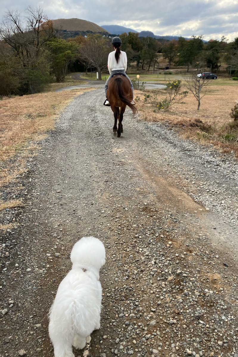 すばる💫🪽 tweet media