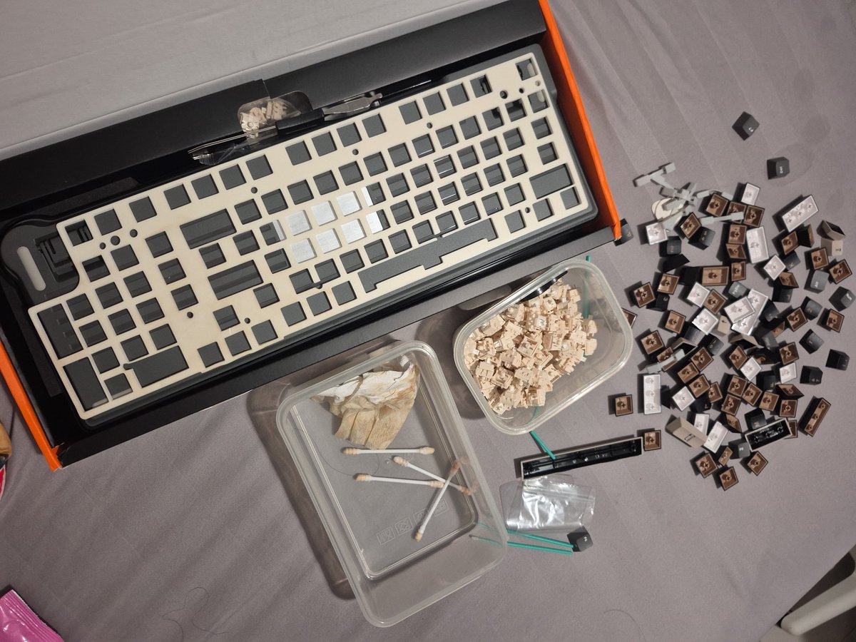 Ave Kanehoshii【GRAVT】 tweet media