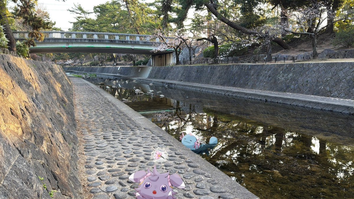 てんちょう tweet media