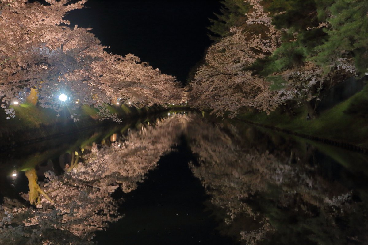 恒例の弘前さくらまつりを覗いてきたけど、今日来た人達は結構ラッキーだったと思います。午後から薄く曇りましたが、満開の日でホボ無風ってのは滅多に無いのよ。