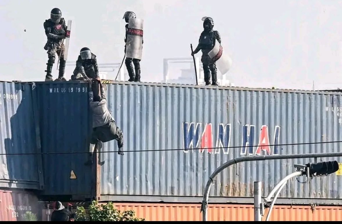 هنية tweet media