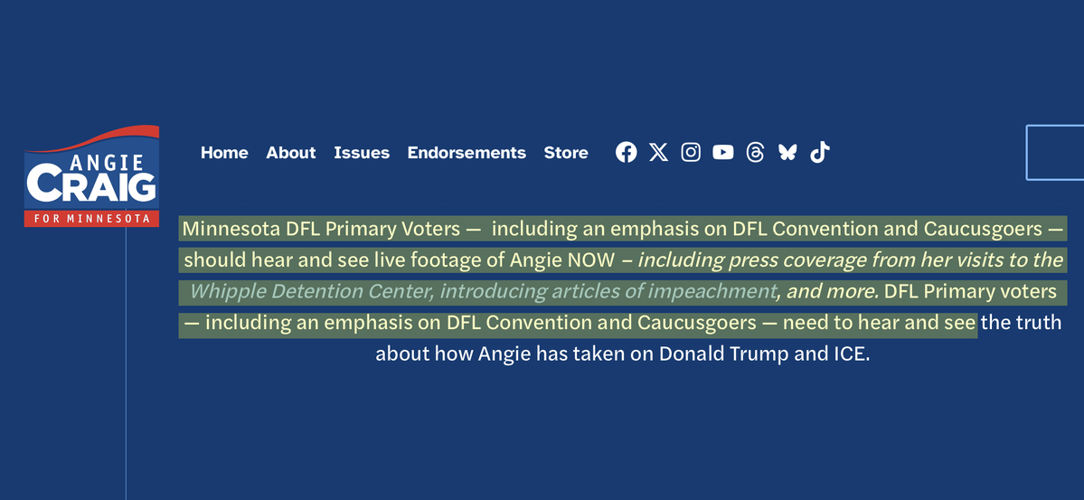 Democratic Lt. Governors tweet media
